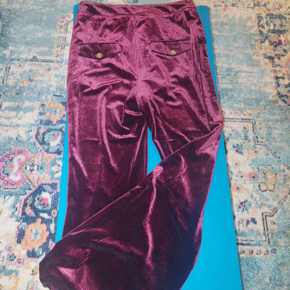AKIRA Rich Burgundy Velvet Pants - Picture 5 of 7